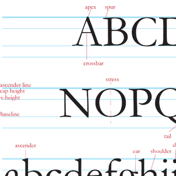 Typography Project